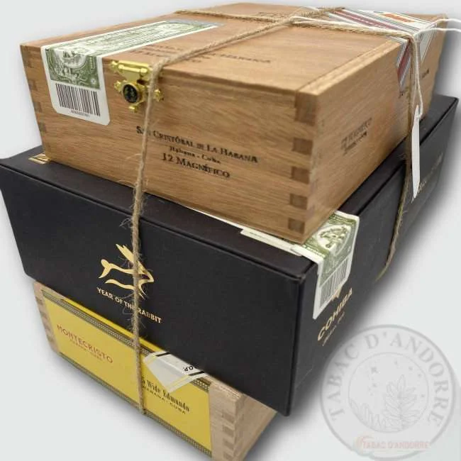 PACK – San Cristobal Magnificos E.R + Cohiba Year of the Rabbit + Montecristo Wide Edmudno — cigare