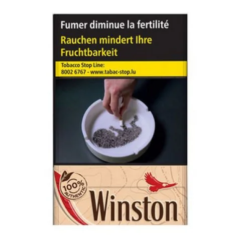 Winston Authentic — cigarettes en cartouche
